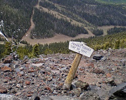 Humphreys peak treeline