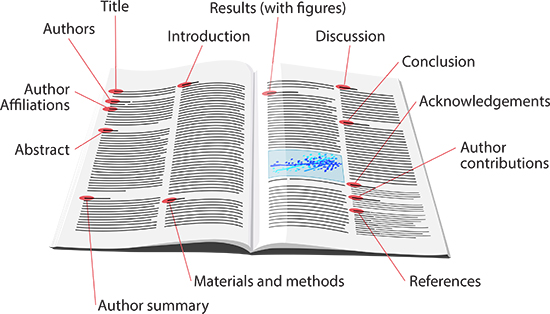 Parts of an Article