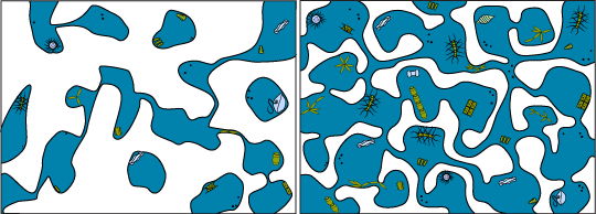 Brine channels in winter and spring compared.