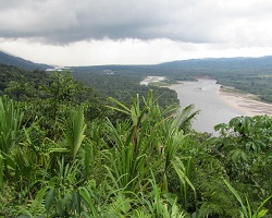 Bosque Ll uvioso Tropical