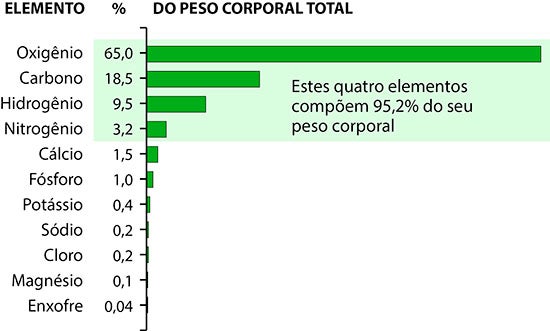  Elementos no corpo humano por cento