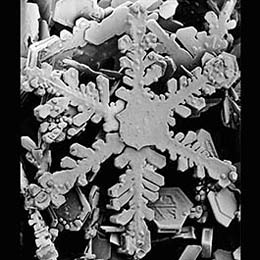 Snowflake in an SEM microscope