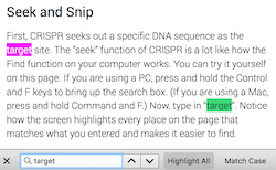 Highlighted text in a computer word search