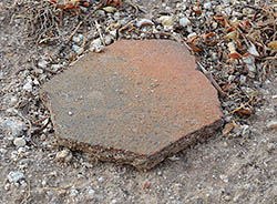 Hohokam pottery shard in South Mountain