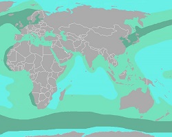 Map of plankton prevalence