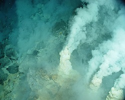 Hydrothermal vents