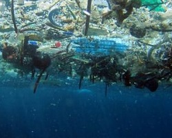 Pacific garbage patch