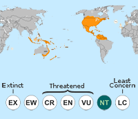 Monarch Butterfly Range and Status