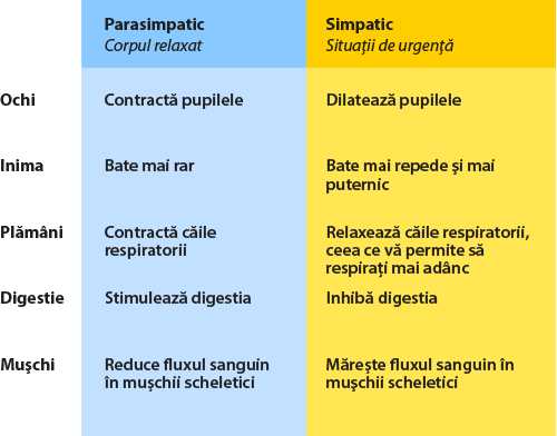 reaction of sympathetic and aparsympethetic system