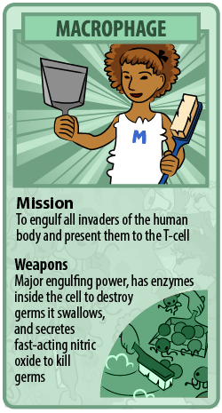 macrophage trading card