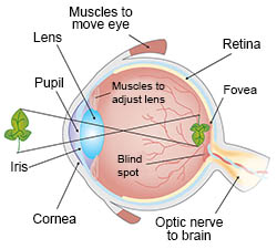 Eye diagram