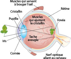 eye diagram