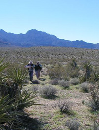 walking in desert