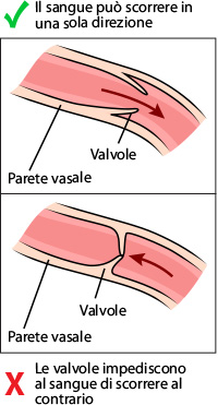 valves