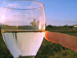 A finger touching a glass of water 