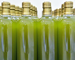 Bottles of olive oil