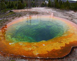 Morning Glory hot spring in Yellowstone