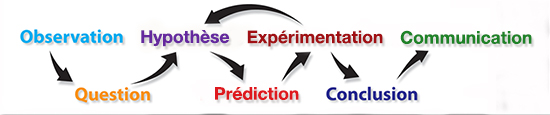 la méthode scientifique