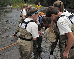 Interns for Haywood Waterways