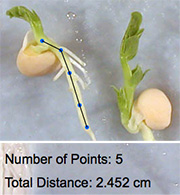 Number of Points