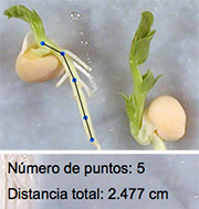 Number of Points