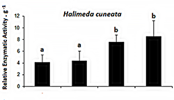 Algae enzyme activity