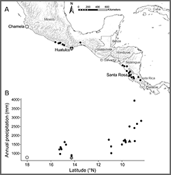 Map and graph of tree and ant colony research.