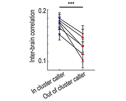 A graph showing the inter-brain correlation of bats that were in cluster versus out of cluster