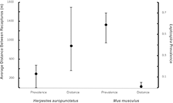 A graph showing how common Leptospira was in which species, across farms in Puerto Rico.