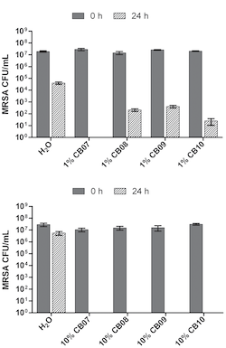 Bacterial killing ability of clay