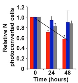 How fast cancer cells move