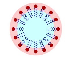 Lipid bilayer micelle