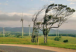 Wind Farm