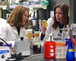 Shelley Haydel in the lab with undergraduate student Jenny Koehl