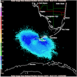 radar of bird migration