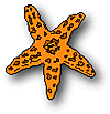 starfish