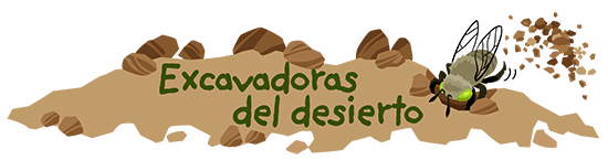 Excavadoras del desierto