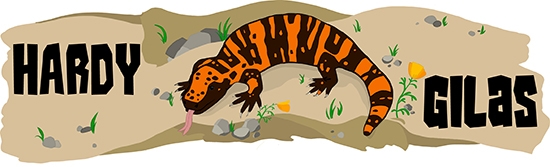 Gila monster ecology story illustration