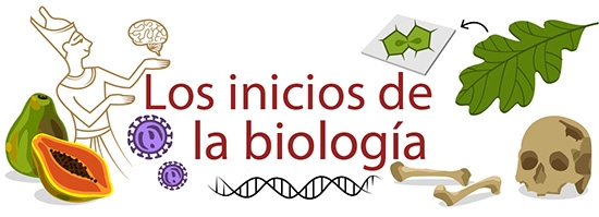 Los inicios de la biologia