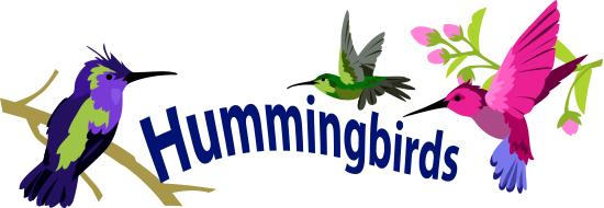 Hummingbirds Story