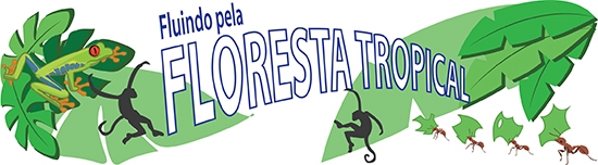  Ilustração da floresta tropical 