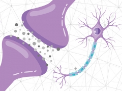 Studies of brain disease