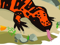 Gila monster face art