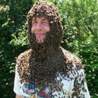 Smith with bee beard