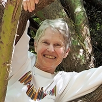 Julie Stromberg in Mexican Palo Verde tree