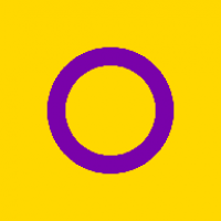 An intersex pride flag, showing a purple circle on a yellow background