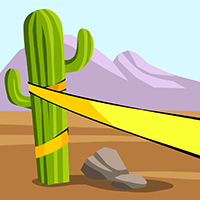 Saguaro 