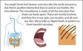 An illustration of different parts where the human microbiome is found, including the gut, mouth, and skin.