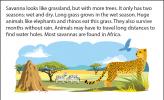 Illustration of the savanna, with a termite mound, zebras, and a cheetah.