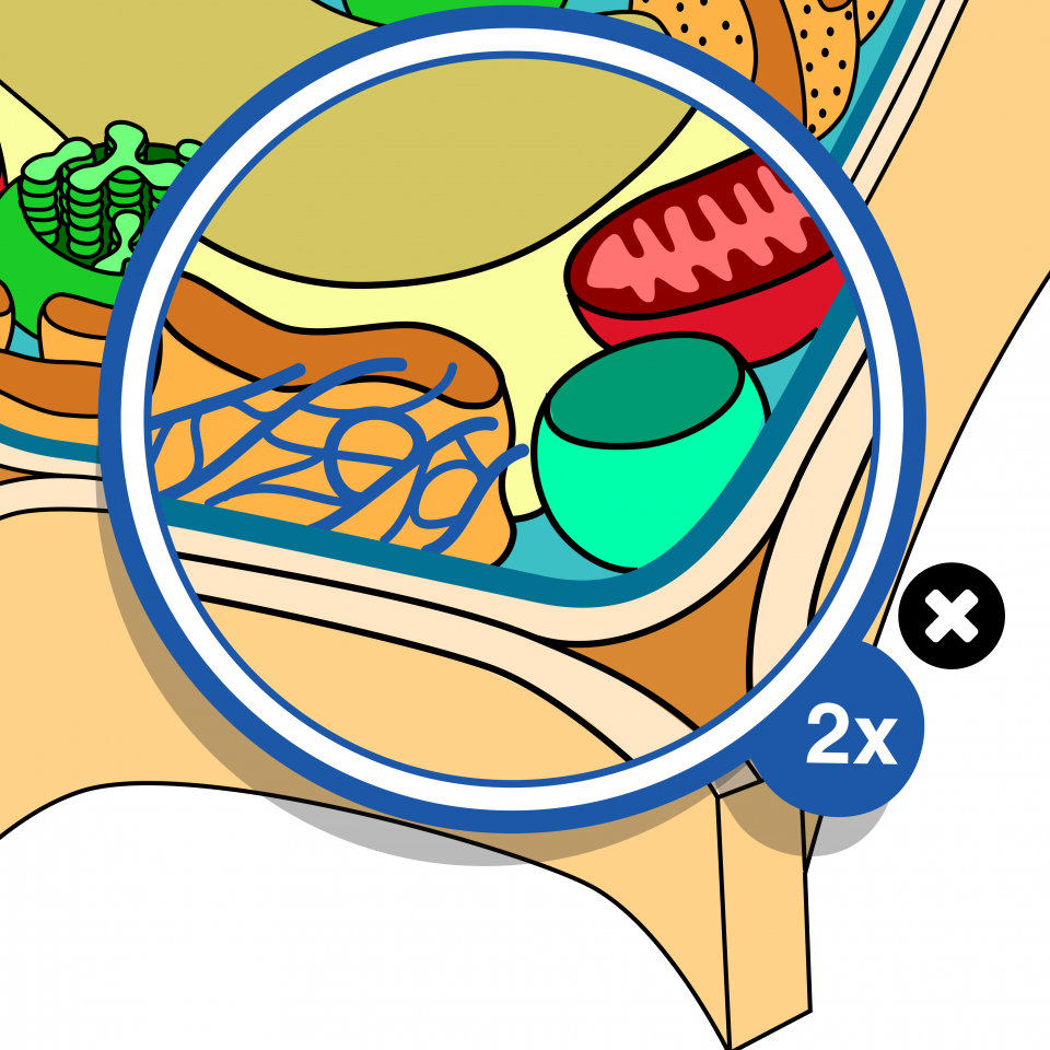 cell game